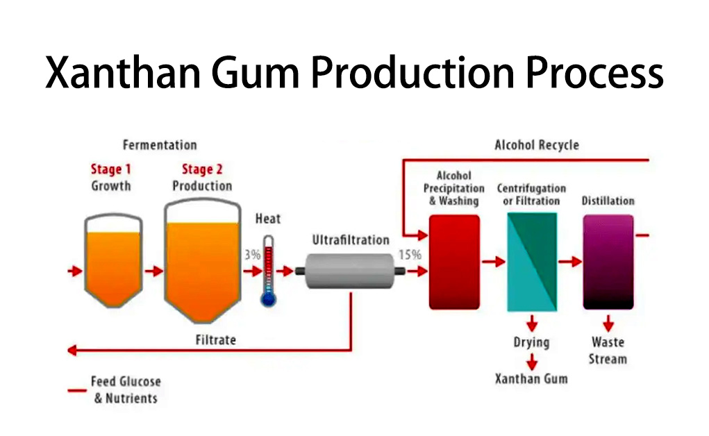 Proceso de producción de la goma xantana